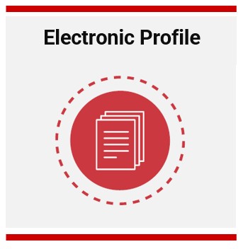 DiSC-Training-Denver-Electronic-Profile